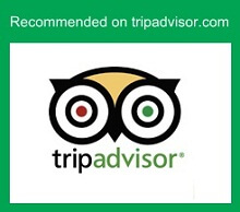 Trip Advisor Recommendation